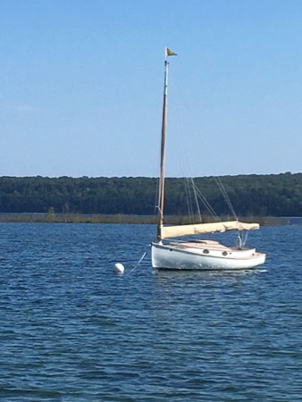 sailboat moored in bay